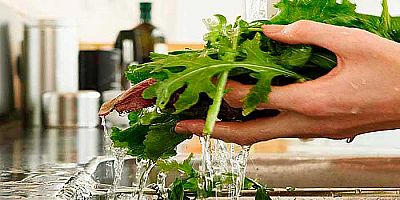 Higiene alimentaria en bares y restaurantes