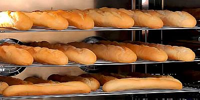 Foto del artículo ¿Horno convección a gas o eléctrico?