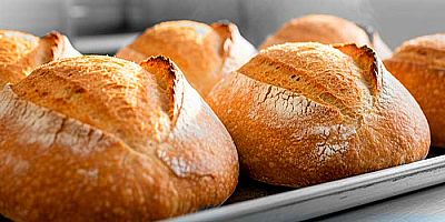 Foto del artículo ¿Cuáles son los tipos de hornos para panadería?