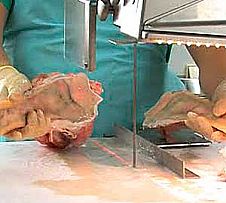 Icono Sierras de Huesos y Carne