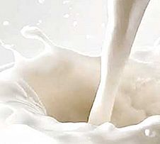 Icono Termos de Leche o Agua