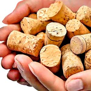 Ilustración con Depósitos para Vino