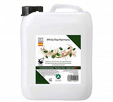 Foto Garrafa Champú Té Blanco