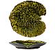 Foto Costa Nova Vajilla Gres Riviera Forest Bandeja Hoja Alchemille - 17,6 cm