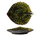 Foto Costa Nova Vajilla Gres Riviera Forest Bandeja Hoja Hortensia - 17,2 cm