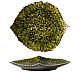 Foto Costa Nova Vajilla Gres Riviera Forest Bandeja Hoja Hortensia - 21,8 cm