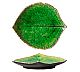 Foto Costa Nova Vajilla Gres Riviera Tomate Bandeja Hoja Hortensia - 17,2 cm