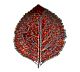 Foto Costa Nova Vajilla Gres Riviera Vigne Bandeja Hoja Hortensia - 21,8 cm