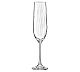 Crystalex Copa Waterfall Óptico Vino Espumoso 19 cl Cristal de Bohemia - Capacidad 190 ml
