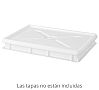 Amer Box Caja Alimentaria Masa Pizza 600 x 400 Capacidad 14 a 24 litros - Polietileno - vista 2