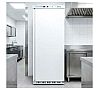 Forcar Armario Congelador Eco Line G EF600 Capacidad 555 litros - vista 3