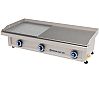 Repagas Plancha de Acero Snack Line Serie 440 Mixta PG-LR Gas - Fondo 44 cm - Potencia 9,5 a 16 kW - vista 1